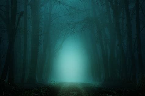 Creepy Foggy Wallpapers on WallpaperDog