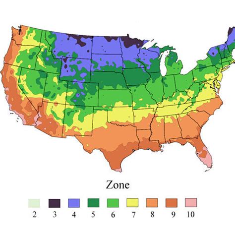 Garden Plans Zone 10 PDF