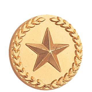 Gold Star and Wreath Lapel Pin | All Lapel Pins | Cheap Sports Trophies