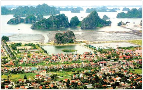 NATIVE FULL TIME TEACHERS IN BAC GIANG CITY