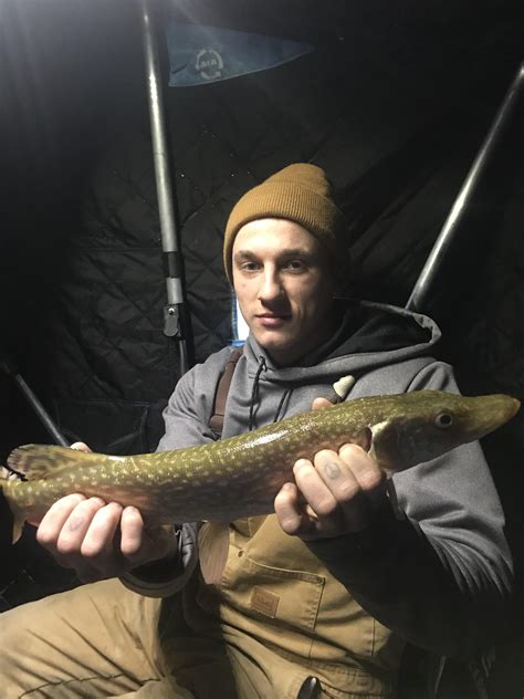 Unexpected pike while perch fishing in South Dakota : r/Fishing