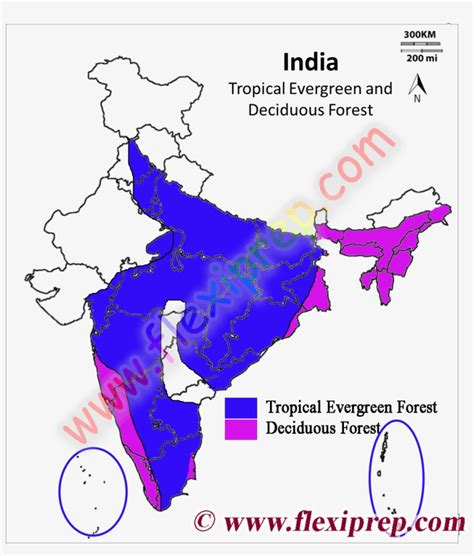 Tropical Evergreen Forest In India Map From Flexiprep - Map Of India ...