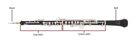 Oboe vs Bassoon: Here's the Difference [Upd. 2024]