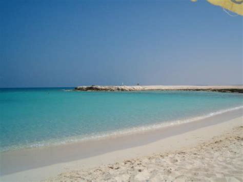 Why is El Alamein in Egypt a place worth a visit? – Tigrest Travel Blog