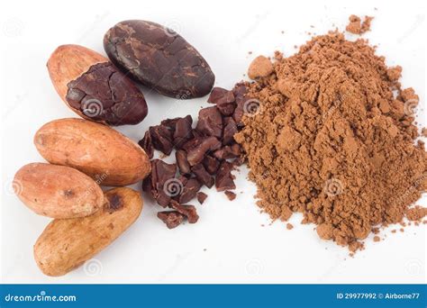 Cocoa beans stock photo. Image of heap, studio, shot - 29977992