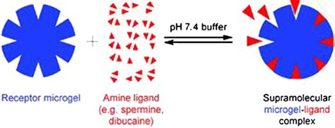 Microgel applications and commercial considerations | SpringerLink