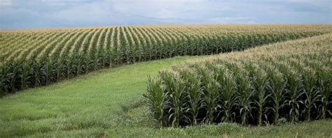 As Trump visits Iowa, farmers warn 'patience is wearing thin' on tariff ...