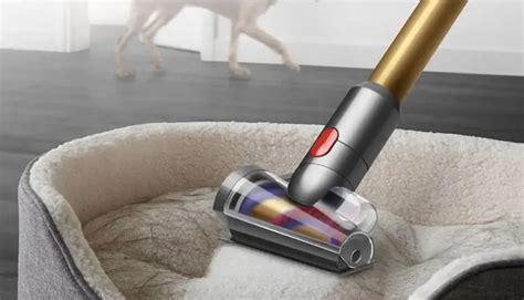 Dyson Outsize Absolute+ Review - Modern Castle