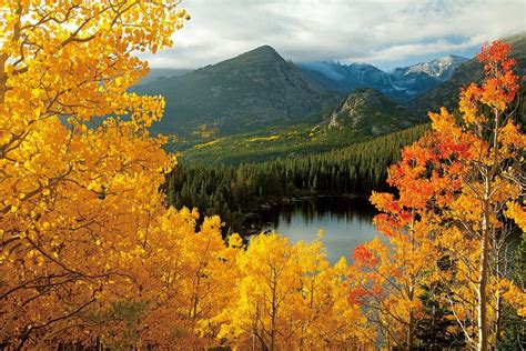 Fall at Bear Lake in Rocky Mountain National Park [2880x1920] : EarthPorn