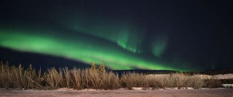 Yukon Northern Lights Viewing