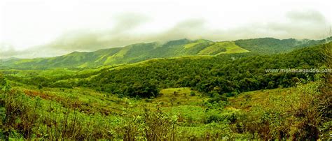 Chikmagalur Weather Archives - MEKANAGADDE HOMESTAY