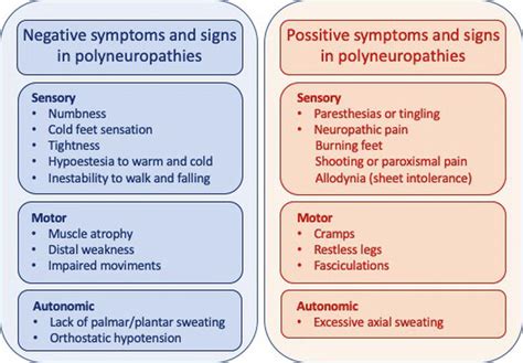 Chemotherapy-Induced Peripheral Neuropathy: Mechanisms and Clinical Assessment | IntechOpen