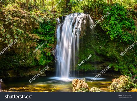 239 Corbett Fall Images, Stock Photos & Vectors | Shutterstock