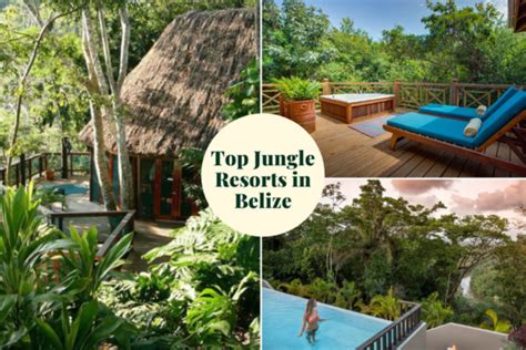 The Top Eco Lodges and Jungle Resorts in Belize