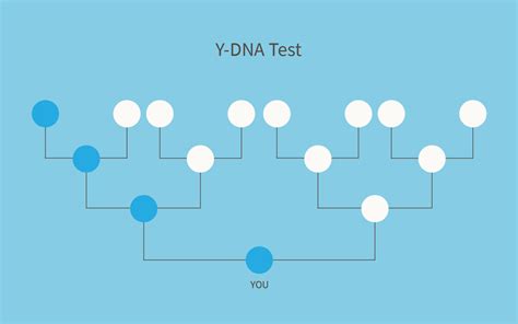 5 Things You Need to Know About Taking an AncestryDNA Test – Ancestry Blog Test Meme, Netflix ...