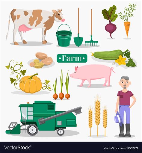 Farm worker animals and plants set Royalty Free Vector Image