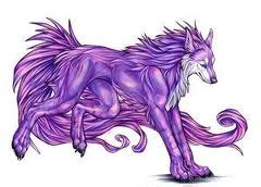 Purple Wolf - Wolves Photo (24696771) - Fanpop