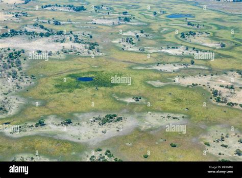 aerial view on natural Okavango Delta landscape Stock Photo - Alamy