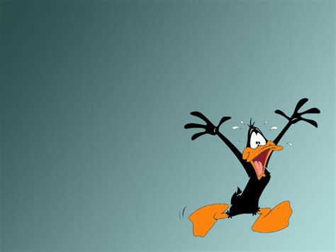 Daffy Duck - Daffy Duck Wallpaper (12857037) - Fanpop