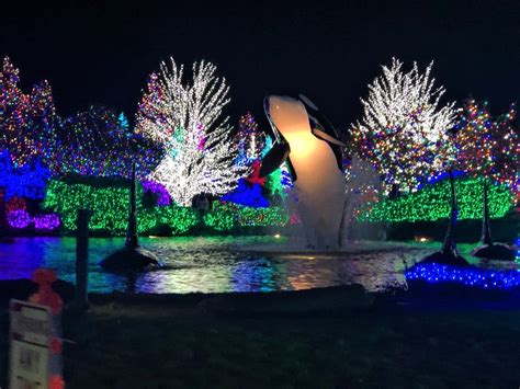 Tulalip Casino entrance drive has tons of Christmas lights | Roadtirement