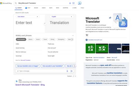 Bing Microsoft Translator Review: Bridging Language Gaps in 2024