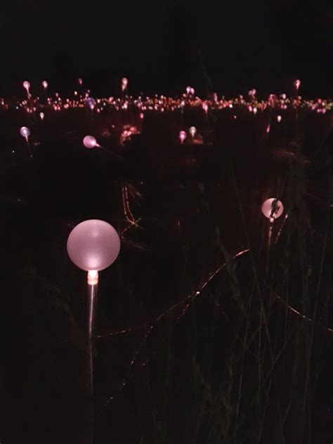 Uluru - Field of light exhibition | Outdoor, Celestial, Exhibition