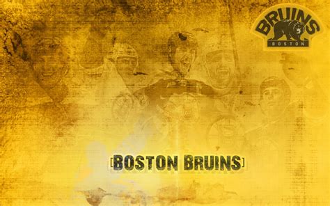 History of All Logos: All Boston Bruins Logos