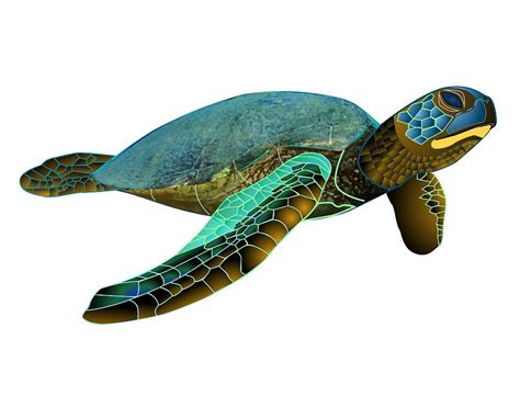 Honu Green Sea Turtle Drawing by Fred Croydon