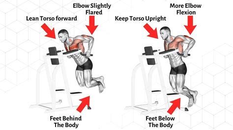 Chest Dips vs. Triceps Dips – What’s the Difference? – Fitness Volt