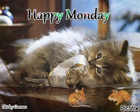 Happy Monday Images Cats