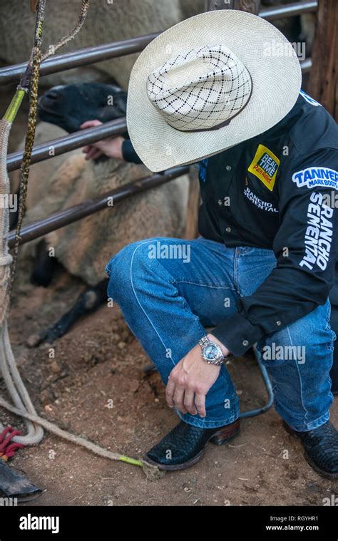 Texas rodeo cowboy Stock Photo - Alamy