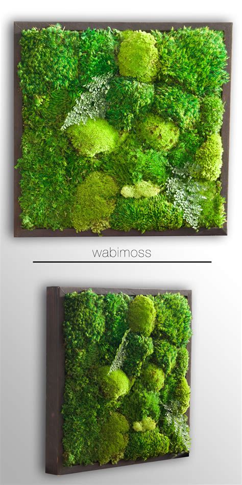 Moss Wall Art 18x18 - WabiMoss