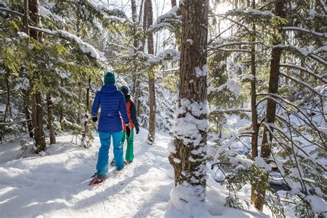 14 Snowshoeing Tips for Beginners - Campspot Camp Guide