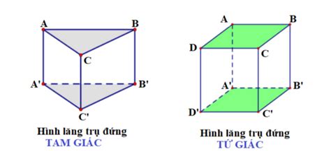 Diện Tích Hình Trụ Đứng: Cách Tính Và Ứng Dụng Trong Học Tập Và Công ...