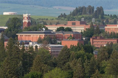 WSU Pullman statement about COVID‑19 cases | WSU Insider | Washington ...