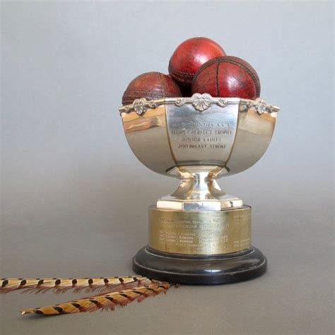 Rose Bowl Trophy for Swimming dating to the 1970's - Vintage Trophy ...