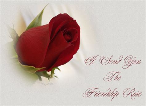 Day Celebration: Friendship Day Rose Gift And Wishes