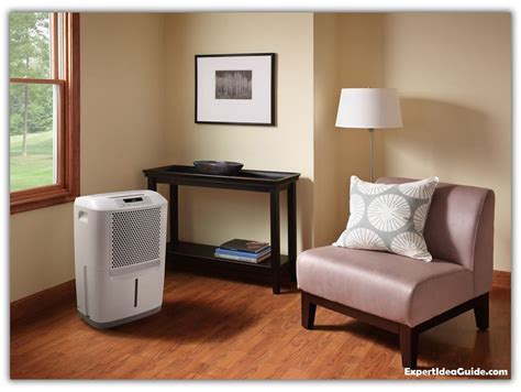 Why is a Dehumidifier Needed for Your Home | Dehumidifier basement ...