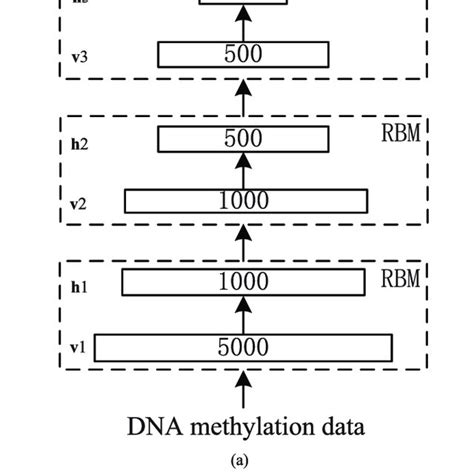 Illustration of a stacked RBM. (a) Deep neural networks structure. (b)... | Download Scientific ...