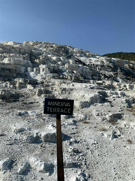 Mammoth Hot Springs Area Trail - Montana | AllTrails