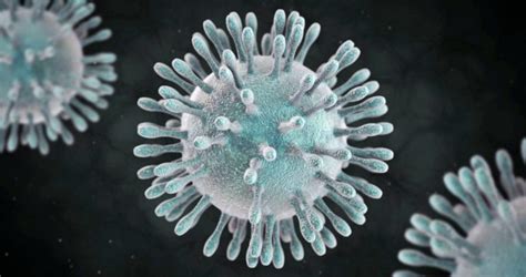 What Can We Expect from Coronavirus? | Caracas Chronicles