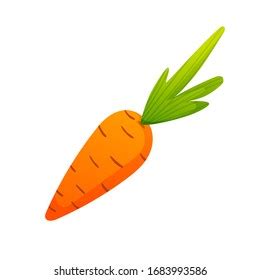 Carrot Isolated On White Vector Vegetable Stock Vector (Royalty Free) 1683993586 | Shutterstock