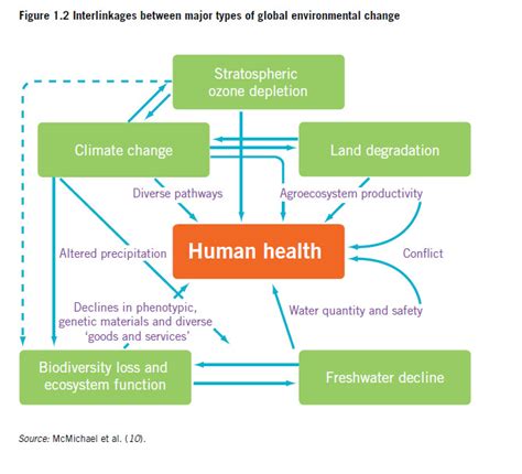 Connecting the environment with health