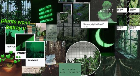 Sage Green Aesthetic Collage Laptop - Draw-o