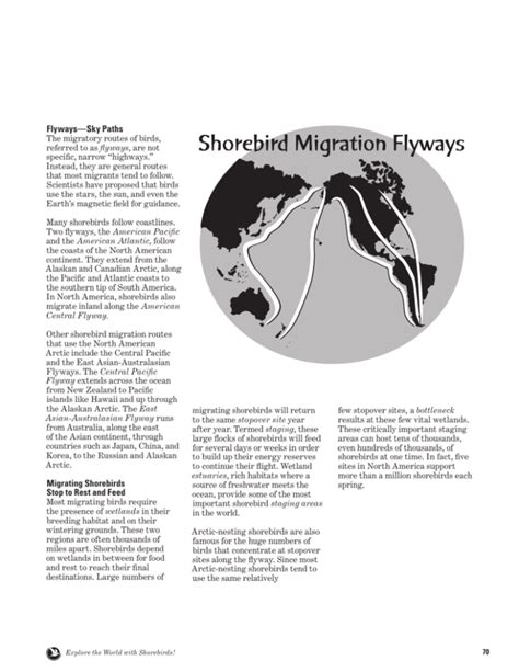 Shorebird Migration Flyways - Migration Science and Mystery