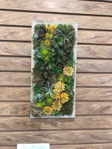 Succulent Wall Art. Wall Succulent. Wall Decor. Floral Decor. - Etsy