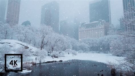 Snowfall in Central Park, New York | Walking in Central Park in the Winter Snow - YouTube