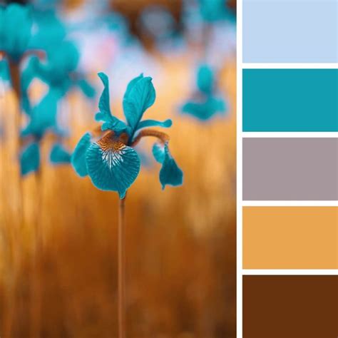 Color Schemes Colour Palettes, Color Palette Design, Colour Pallette, Color Palate, Color Design ...
