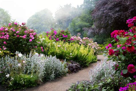 Las plantas con flor, base de los ecosistemas terrestres - Gaceta UNAM