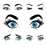 Eyes expressions stock vector. Illustration of funny - 24058706